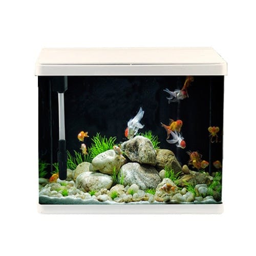 Buy Aqua One LifeStyle 52 Gloss White | Fine Pebble Aquarium